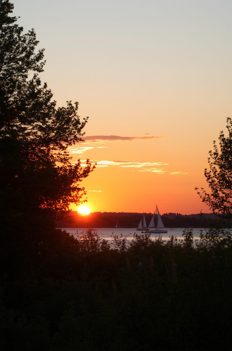 Sailboat on calm lake water at golden sunset with silhouetted trees framing the scene