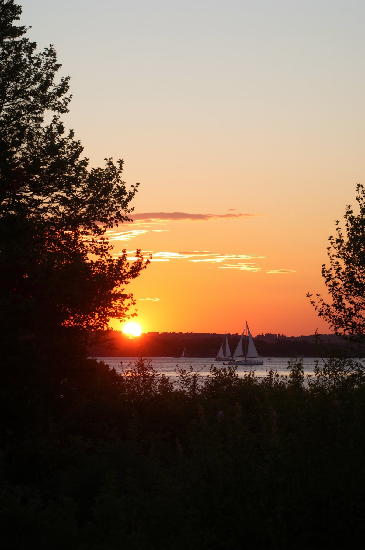 Sailboat on calm lake water at golden sunset with silhouetted trees framing the scene