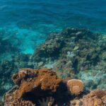 Most Incredible Nature Wonders of the World You need Too See Before You Die