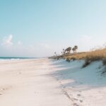 Stop Missing Out on Seaside Florida's Hidden Gems