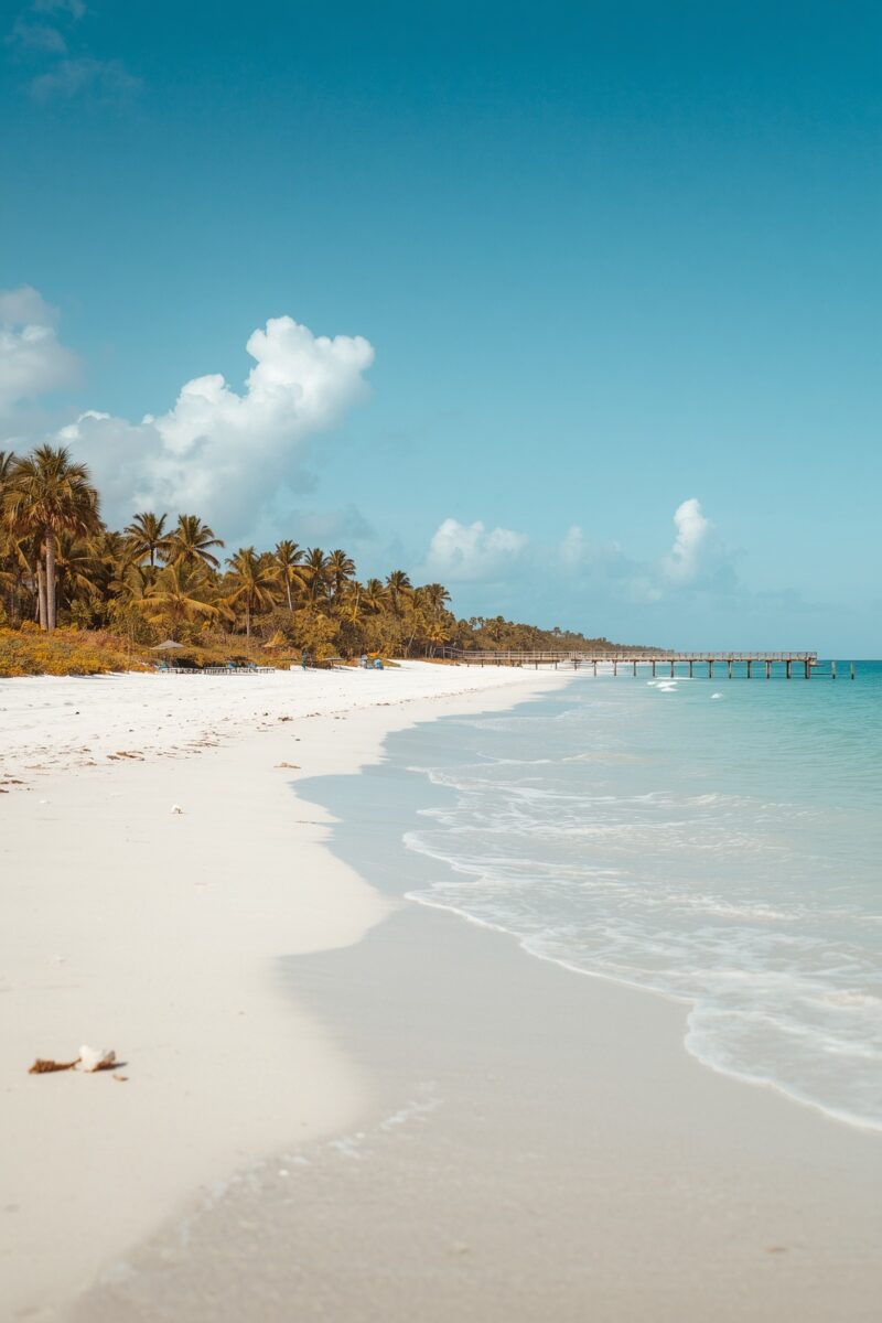 Pristine white sand beach with turquoise water, palm trees, and a wooden pier extending into the ocean