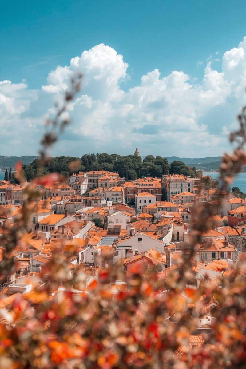 Aerial view of Mediterranean coastal town with orange terracotta rooftops, green hilltop trees, and blue sea in background