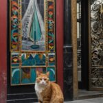 Turkey Travel Guide: The Most Stunning Places To Visit In Istanbul And Beyond