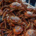 Annapolis, Maryland: The Waterfront Town That Belongs on Every East Coast Road Trip