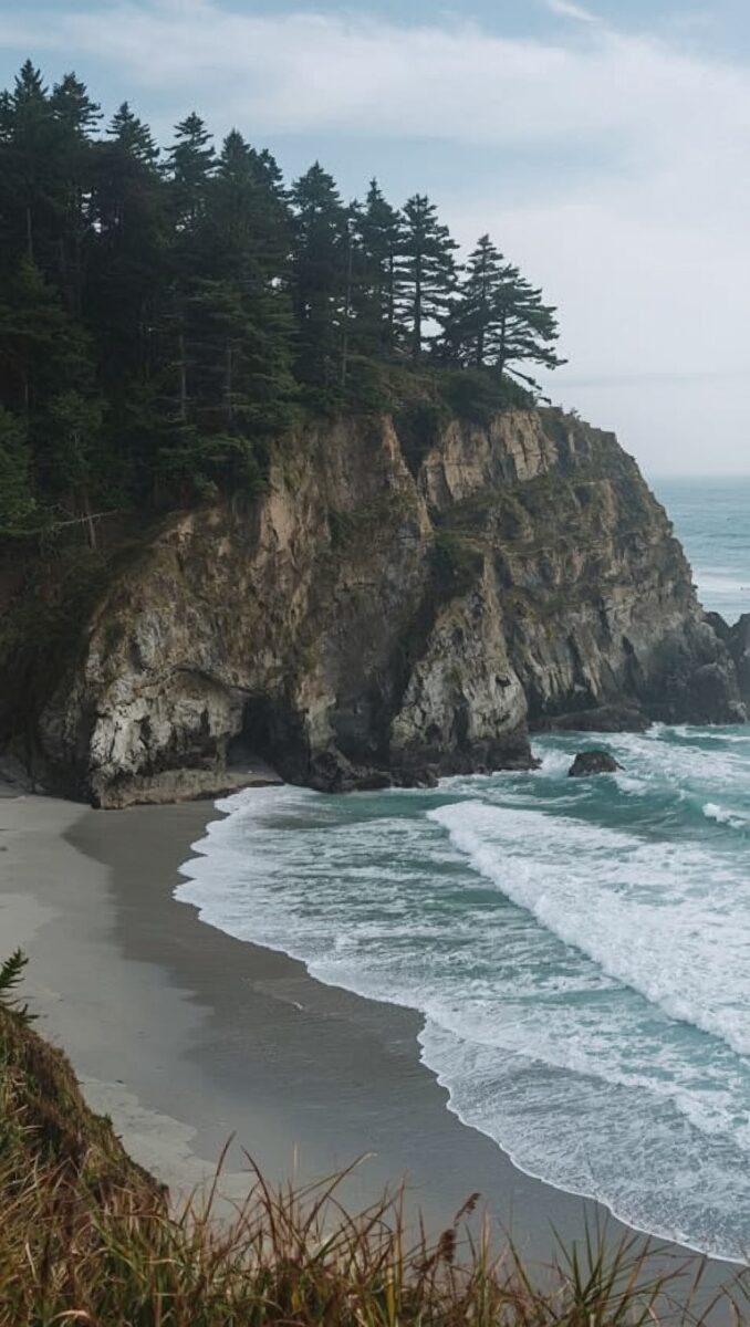 Rocky coastal cliffs topped with evergreen trees overlooking a sandy beach with turquoise waves