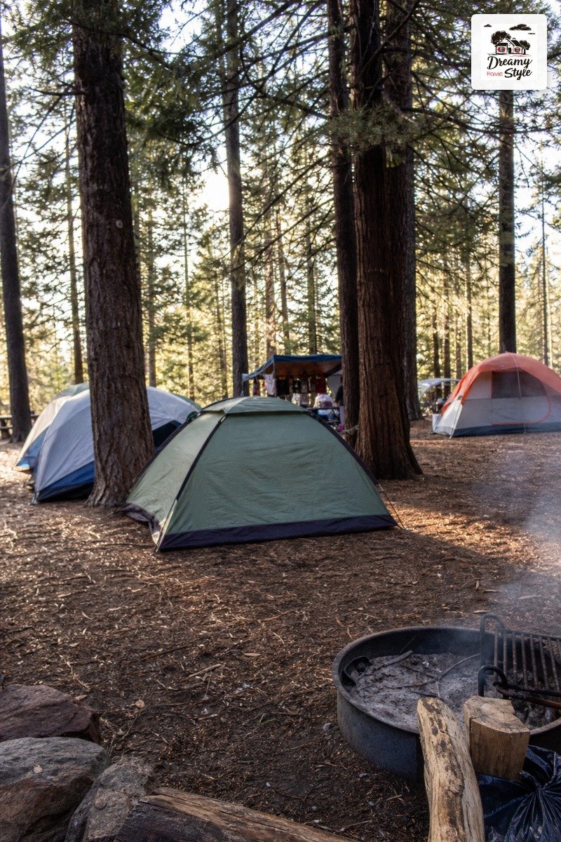 Campsite Reservations Vanish Months Out. Not Days.