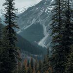 What to Pack for Alaska Cruise: The Complete Packing List for Every Excursion