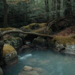 Wellness Travel Inspo: The Retreats, Spas & Destinations Changing How We Think About Vacations