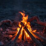 Beach Bonfire Night: How to Plan the Perfect Bonfire by the Ocean