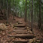 Hiking Safety Rules Worth Knowing Before You Need Them
