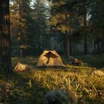 Camping Hacks That Make a First Trip Feel Like a Tenth