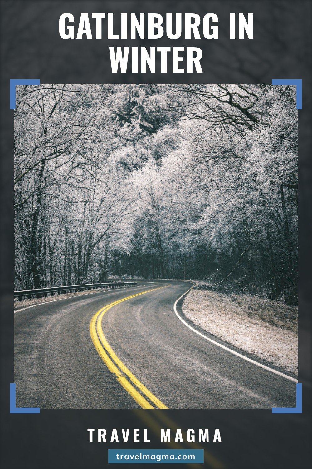 Gatlinburg in Winter: a curving road through frosted trees in Great Smoky Mountains National Park