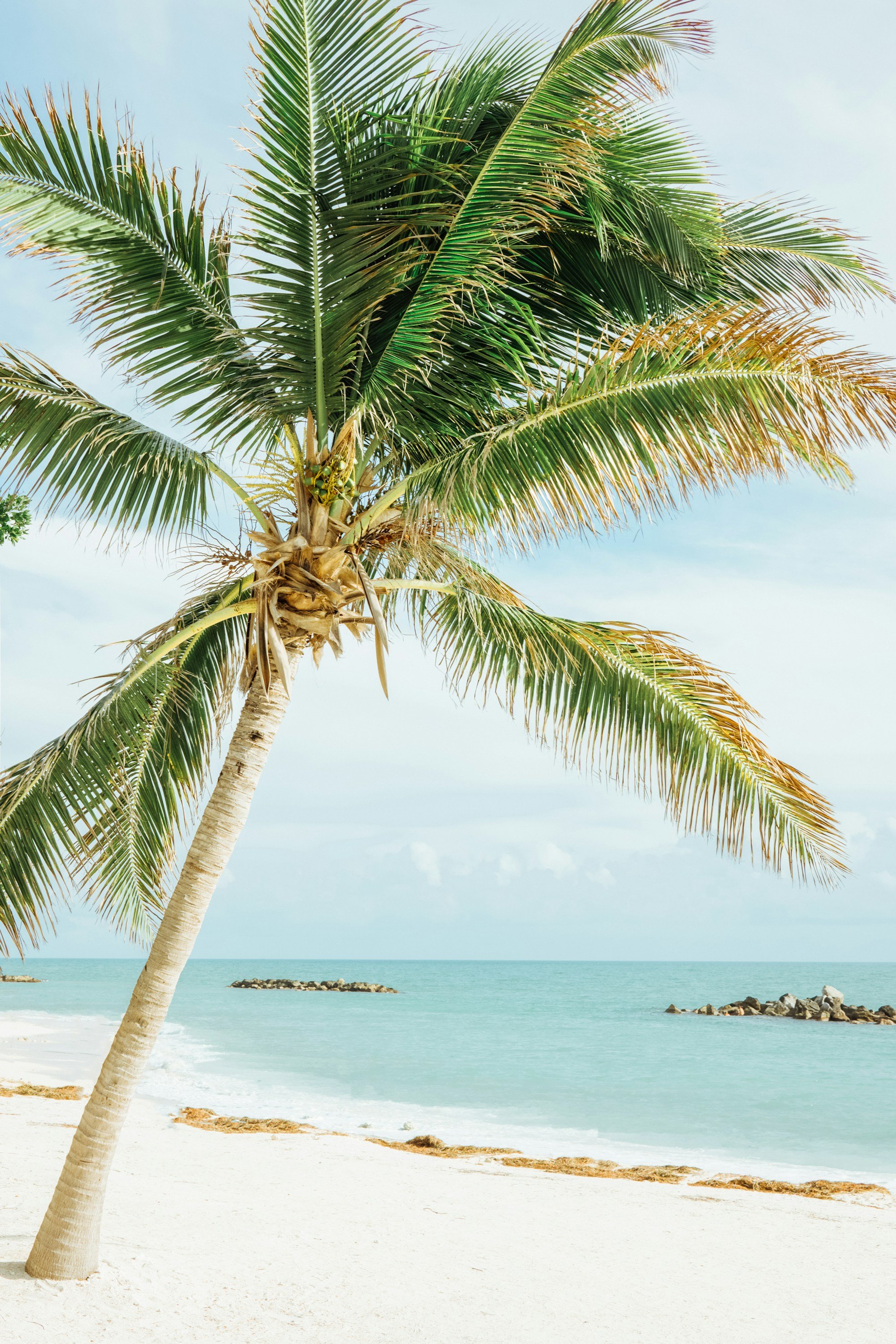 Warmest Places in Florida in Winter for a Real Beach Escape