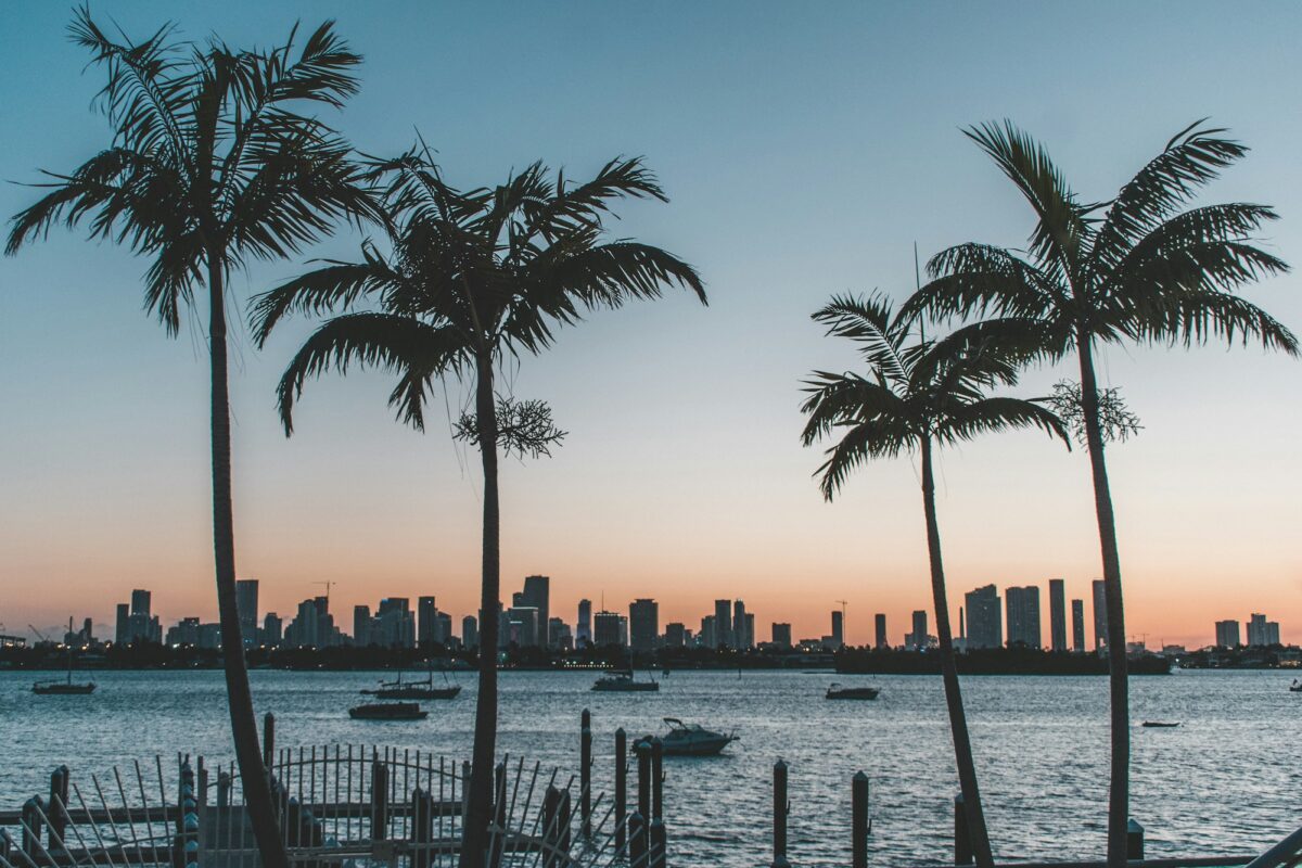 Palm trees silhouetted at dusk with the Miami skyline lit up across the bay