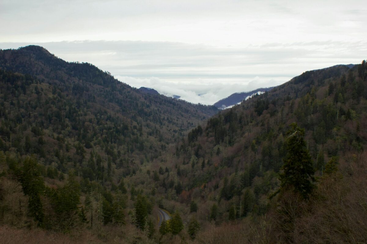 A forested valley in Great Smoky Mountains National Park with a road at the bottom and low clouds between the ridges