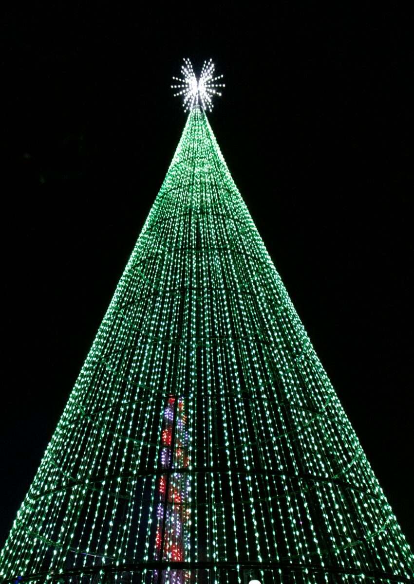 A tall cone of green LED Christmas lights with a white starburst on top against the night sky at the North Carolina Arboretum in Asheville