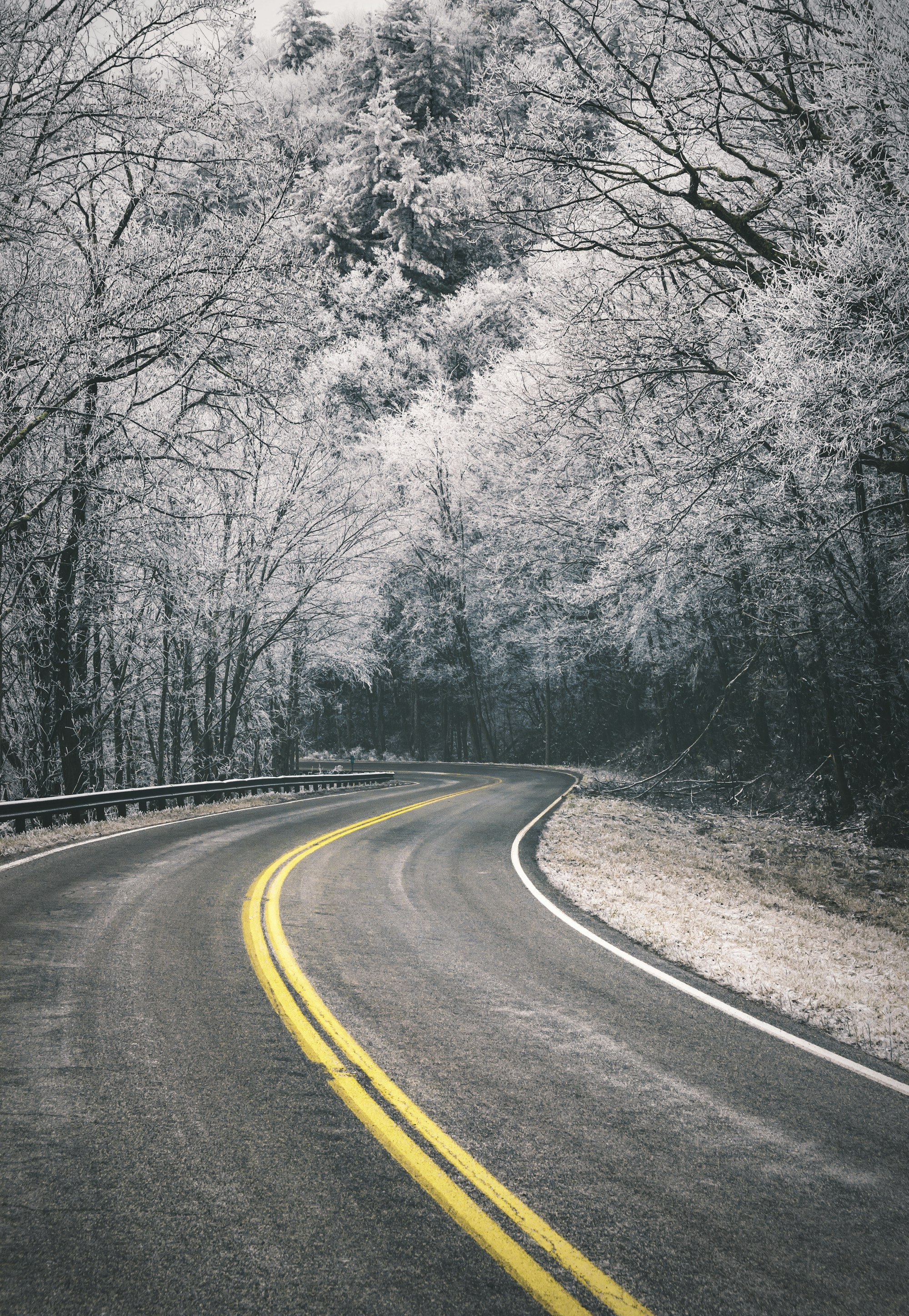 Gatlinburg in Winter: Lights, Snowy Trails and Cozy Cabin Days